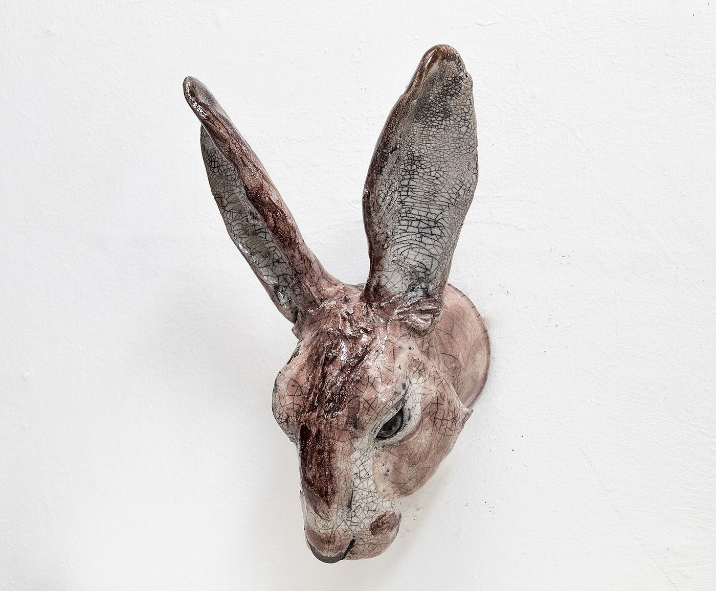 Large Hare Head 1 by Carol Read Richard Ballantyne